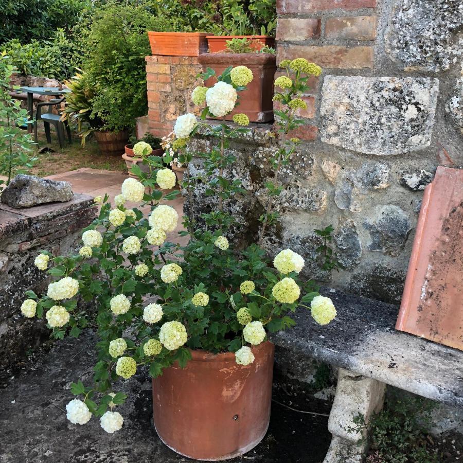 Agriturismo San Giusto ソヴィチッレ エクステリア 写真
